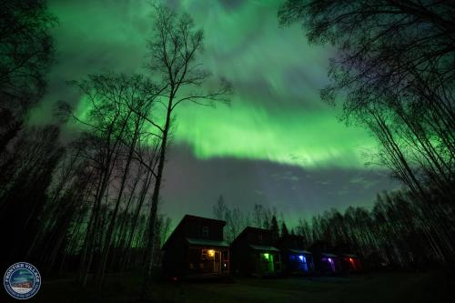 Gambar di galeri bagi The Lazy Lynx - Frontier Village di North Pole