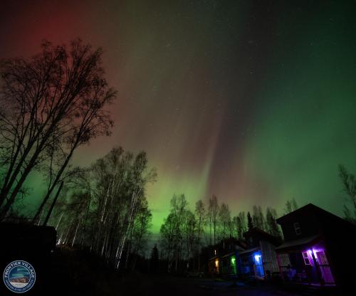 Gambar di galeri bagi The Lazy Lynx - Frontier Village di North Pole
