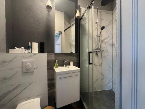 un bagno con doccia, WC e lavandino di Le petit Lyautey - Retro-chic atmosphere a Vichy