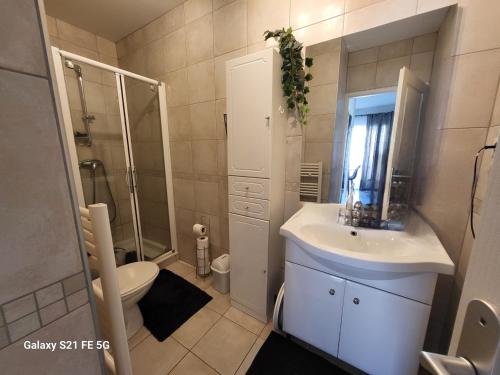 une salle de bain avec un lavabo, une douche et des toilettes dans l'établissement T3 Vue mer bord de mer, à Albitreccia