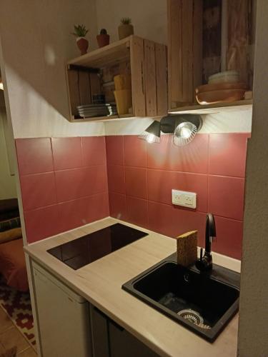 - une cuisine avec un évier et du carrelage rouge dans l'établissement LePimpant, à Avignon