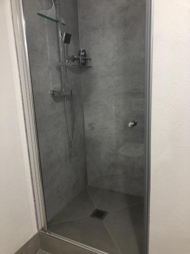 a shower with a glass door in a bathroom at Ferienwohnung Sommerblüte in Schweich