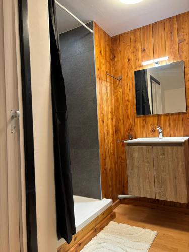 a bathroom with a shower and a sink at Évasion à Durbuy in Famenne