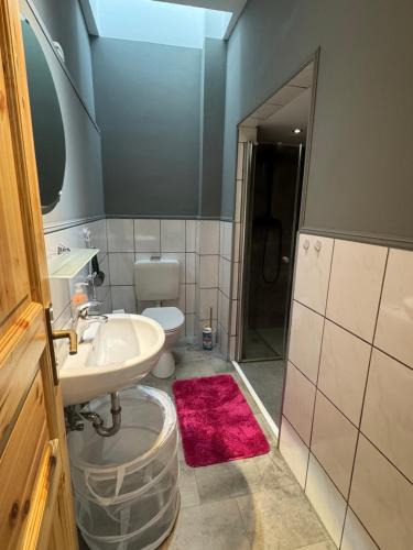 a bathroom with a sink and a toilet and a shower at Schwarzer Kater in Hochstetten-Dhaun