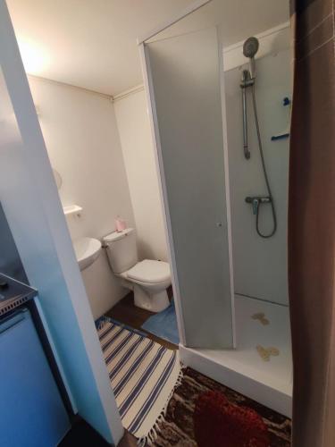 a small bathroom with a shower and a toilet at Gîte meublé 10 personnes in Donges