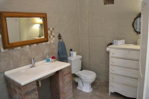 a bathroom with a sink and a toilet and a mirror at A Garden Suite B&B in Pietermaritzburg