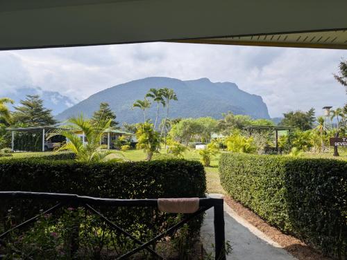 a view of a mountain from a park with bushes at Tao Life Center in Ban Mae Khon