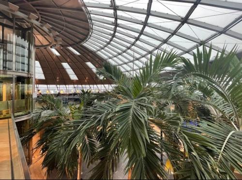 un groupe de palmiers dans un grand bâtiment dans l'établissement Halim, à Mulhouse
