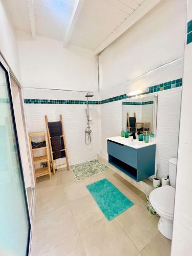 a bathroom with a sink and a toilet and a mirror at Cocon des îles in Anse-Bertrand