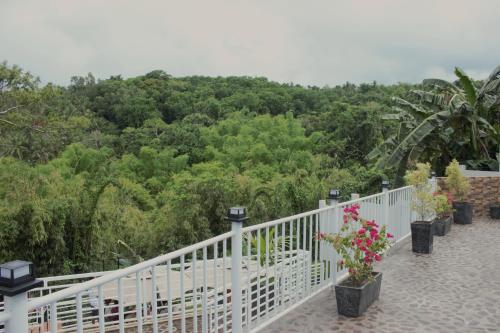 Taman di luar Casita Alyanna