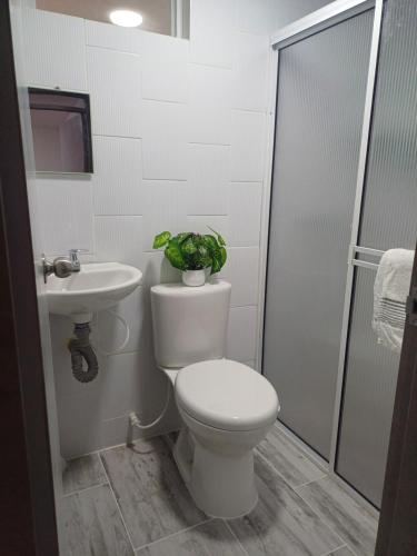 baño con aseo y lavabo con planta en Apartamento la 20 tercer piso, en Santa Rosa de Cabal