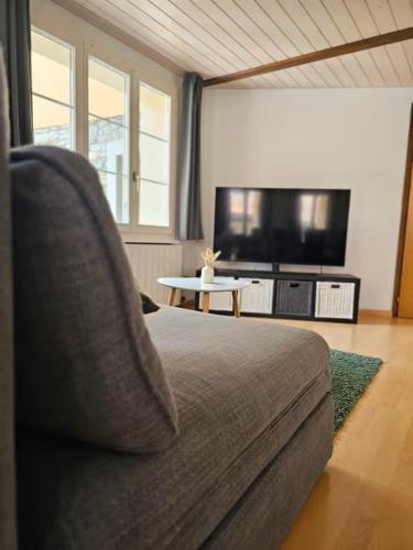 a living room with a couch and a flat screen tv at Perle am Vierwaldstättersee in Fluelen