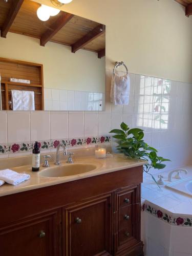 a bathroom with a sink and a mirror at Little creek farm stay in Norton Summit