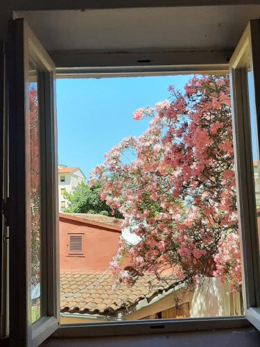 Mary&Flo House - A due passi dal centro - free private parking
