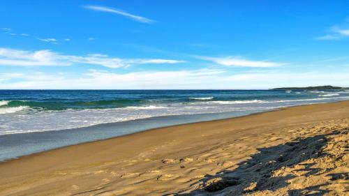a sandy beach with the ocean in the background at Wooli Waves in Wooli