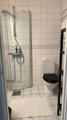 ein Bad mit einer Dusche, einem WC und einer Glastür in der Unterkunft Tågaborg in Helsingborg