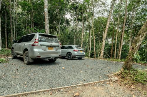 two cars parked on a road in the woods at El Bosque - Lago Calima in Calima