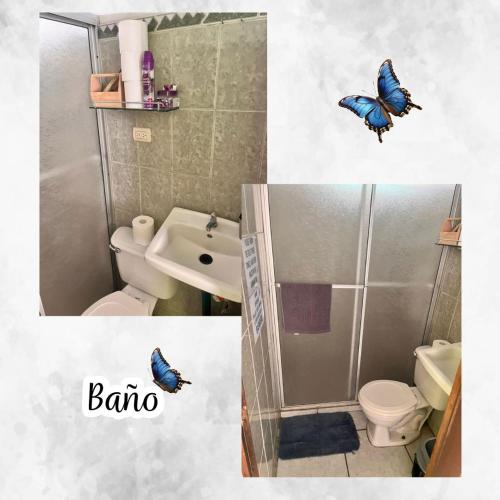 a bathroom with a toilet and a shower with butterflies on the wall at Morpho Casa Vacacional in Fortuna