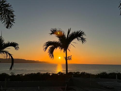 a palm tree with the sunset in the background at Sundown Relaxed in Punta Rucia