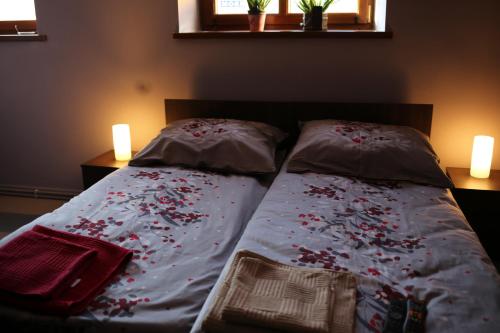 a bed with two pillows on it in a bedroom at Noclegi Andersa in Wałbrzych