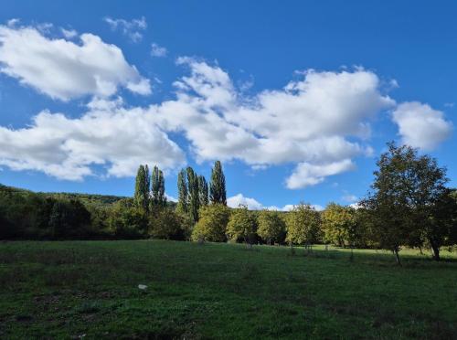 a field with trees and a blue sky with clouds at Káli Pillangó - Ház a völgyben in Balatonhenye