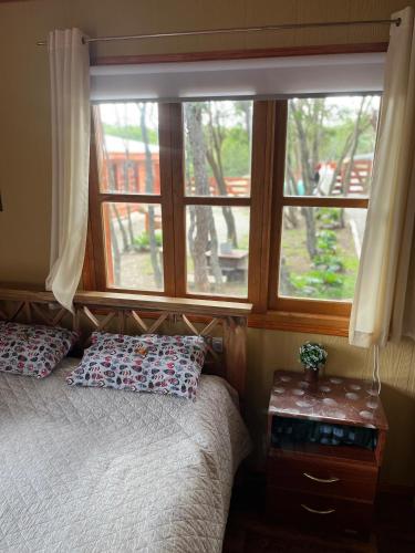 a bedroom with a bed with pillows and a window at alojamientos CM in Tolhuin