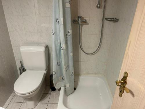 a bathroom with a white toilet and a shower at Apartment in Veysonnaz with balcony in Veysonnaz
