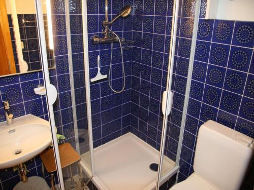 uma casa de banho em azulejos azuis com um chuveiro e um WC em Apartment in Veysonnaz with Mountain Views em Veysonnaz