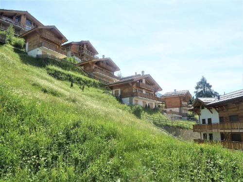 Pleasant apartment in Versonnaz