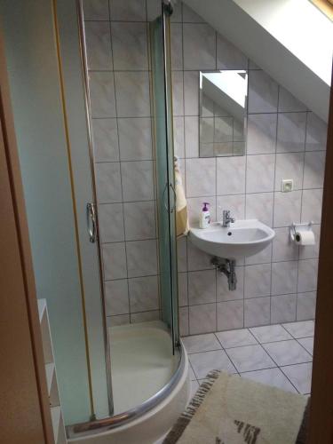 a bathroom with a shower and a sink at Agroturystyka Nad Stawem in Centawa