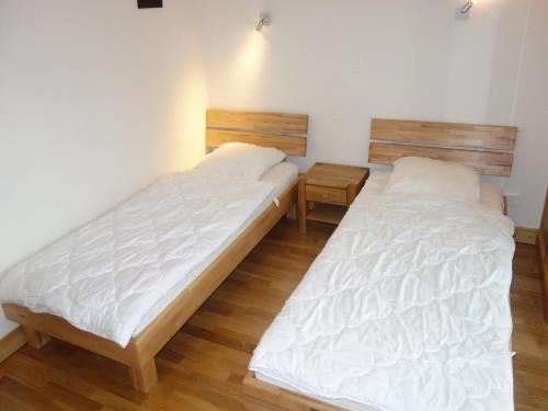 Apartment near Veysonnaz ski slope
