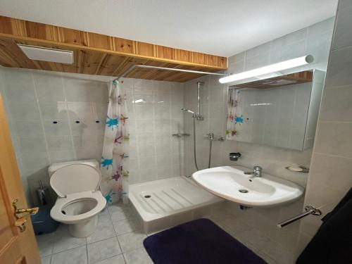 Gracious apartment in Veysonnaz