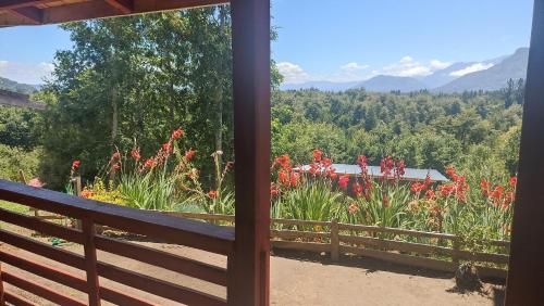 Příroda nedaleko prázdninového domu