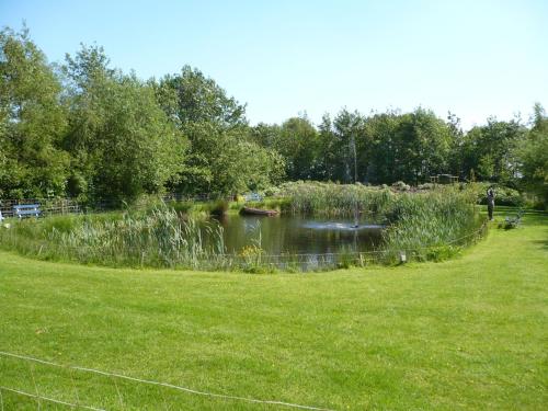 a pond in a park with a grass field at Apartment Nieuw-Moscou in Hollandscheveld