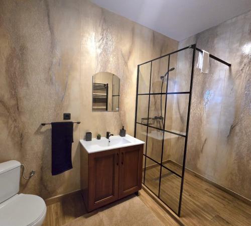 a bathroom with a sink and a shower and a toilet at Poiana Brazilor in Poiana Negrii