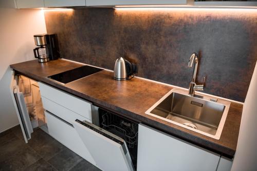 eine Küche mit Spüle und Arbeitsplatte in der Unterkunft Pataunerhof Betulla Quercus in Dorf Tirol