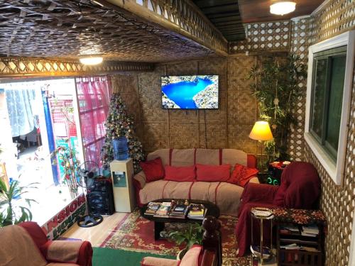 TV a/nebo společenská místnost v ubytování THE MANSION - BACKPACKERS Near AIRPORT