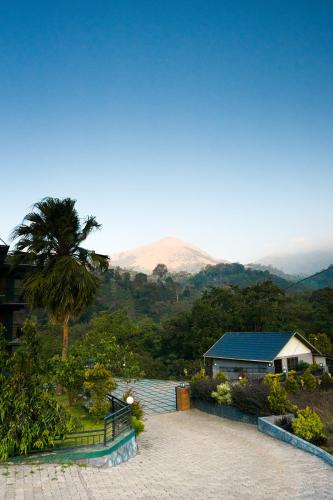 a house with a palm tree and a mountain at jungle view resort in Mananthavady