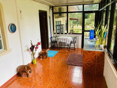 a living room with two toy animals on the floor at Middle bedroom, McKirdy's Farm in Sison