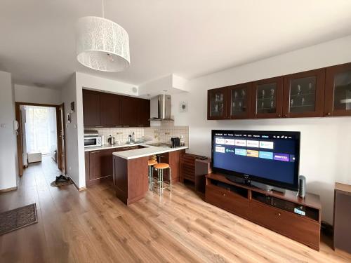 kuchnia z dużym telewizorem i salon w obiekcie APARTAMENT POD GWIAZDAMI, z dwoma ogródkami i dwoma tarasami w Polanicy Zdroju