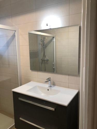 une salle de bain avec un lavabo et un miroir dans l'établissement Large apartment 85 m2 Chambéry center, à Chambéry