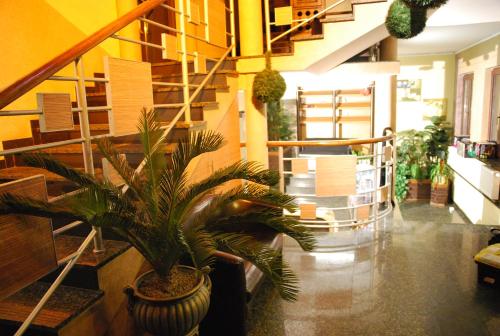 a room with a potted plant in a building at Adeo Hostel in Białystok