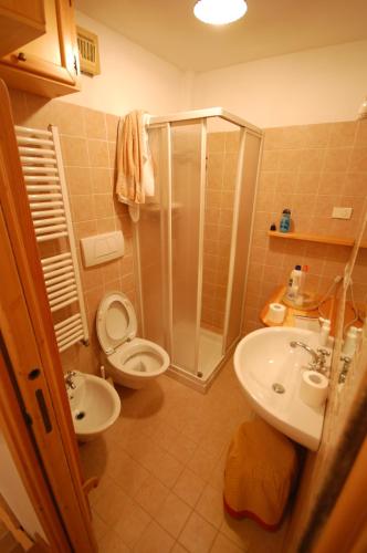 a bathroom with a shower and a toilet and a sink at Chalet Valentina in Madonna di Campiglio