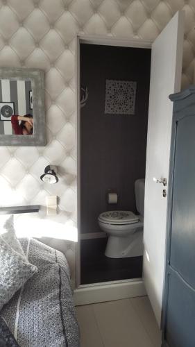 a small bathroom with a toilet in a room at B&B Le Bonimenteur in Charleroi