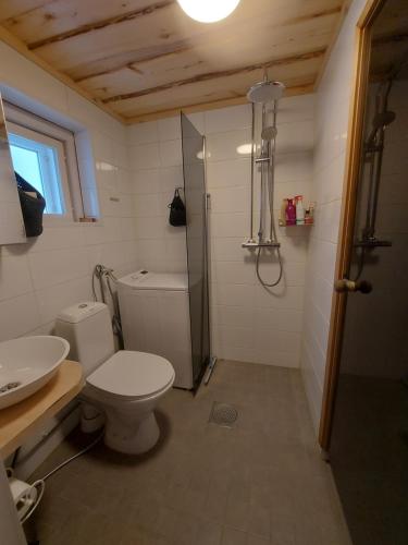 Gallery image of Villa Juurus cabin in Kuopio
