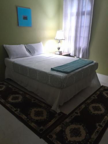a bed in a bedroom with a window and a rug at Abigail's Spectacular 2 bedrooms-Entire Apartment in Tortola Island