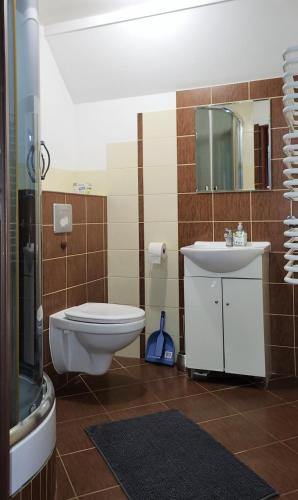 a bathroom with a toilet and a sink and a mirror at Pokoje u Piotra in Tczew