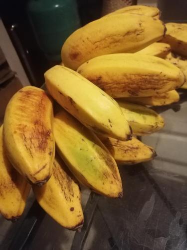 Fotografie z fotogalerie ubytování Home SAKALAVA v destinaci Dzamandzar