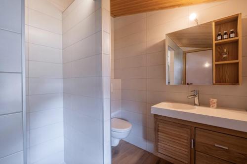 une salle de bain avec toilettes et lavabo dans l'établissement Cozy big Chalet with Spectacular Mont-Blanc View, à Chamonix-Mont-Blanc
