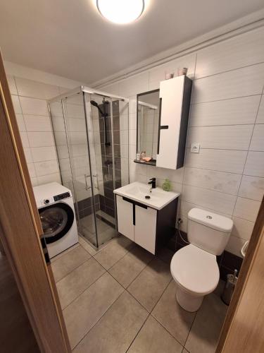 a bathroom with a toilet and a sink and a shower at APARTMENT BELkA in Jesenice